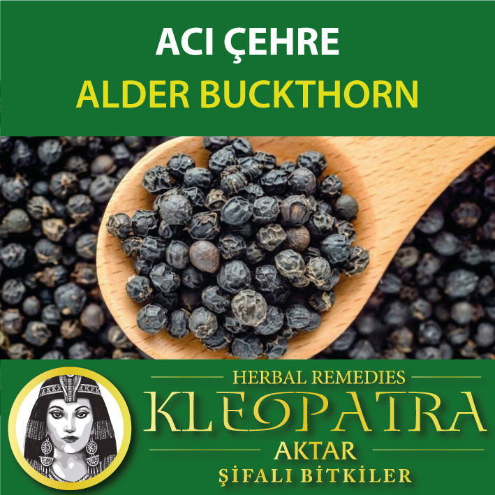 ACI ÇEHRE