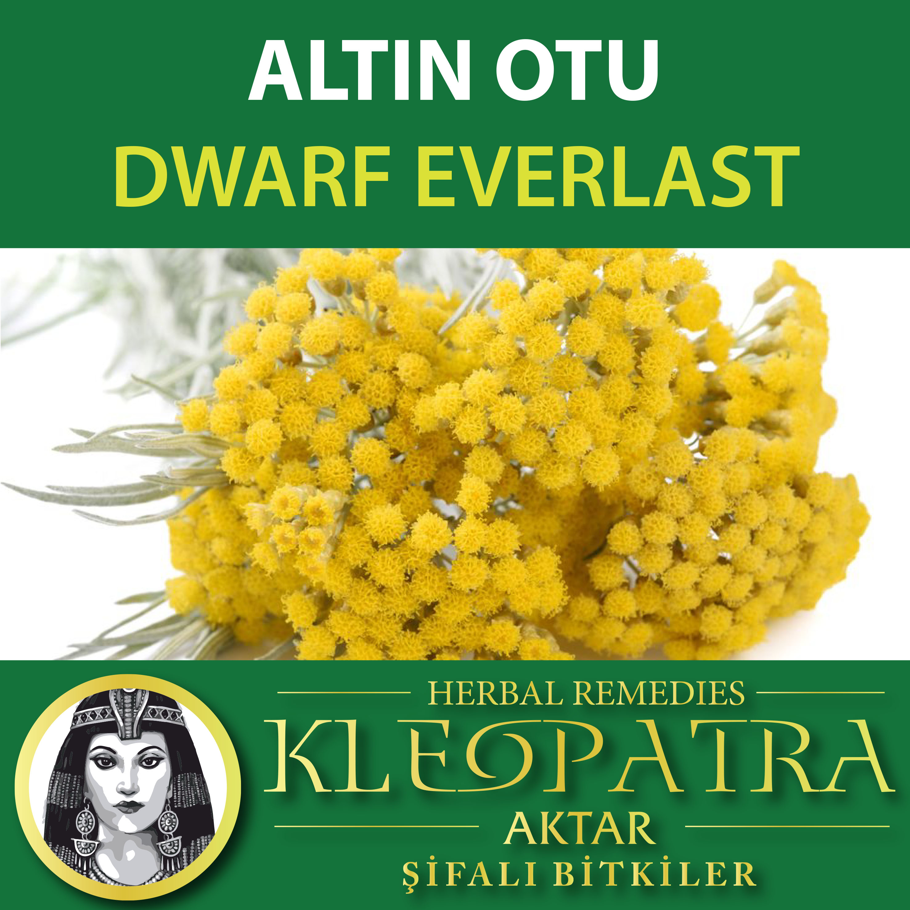 ALTIN OTU