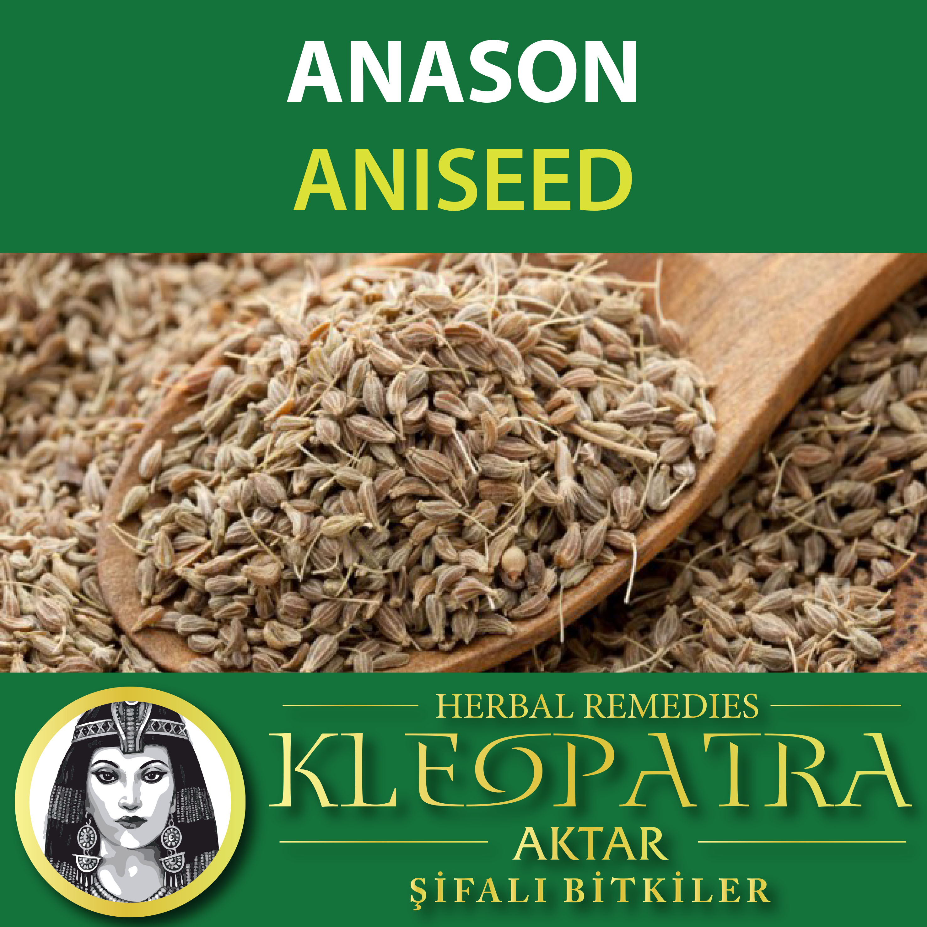 ANASON
