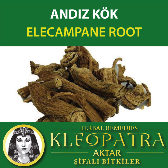 ANDIZ KÖK