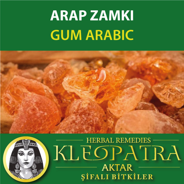 ARAP ZAMKI