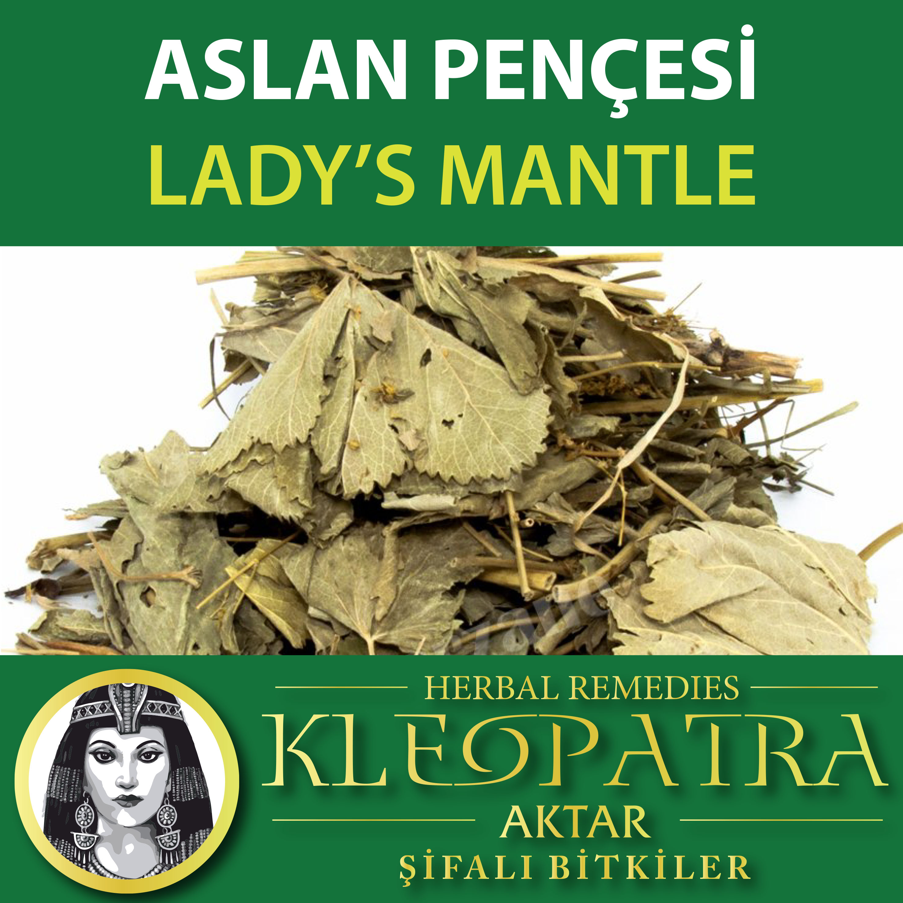 ASLAN PENÇESİ