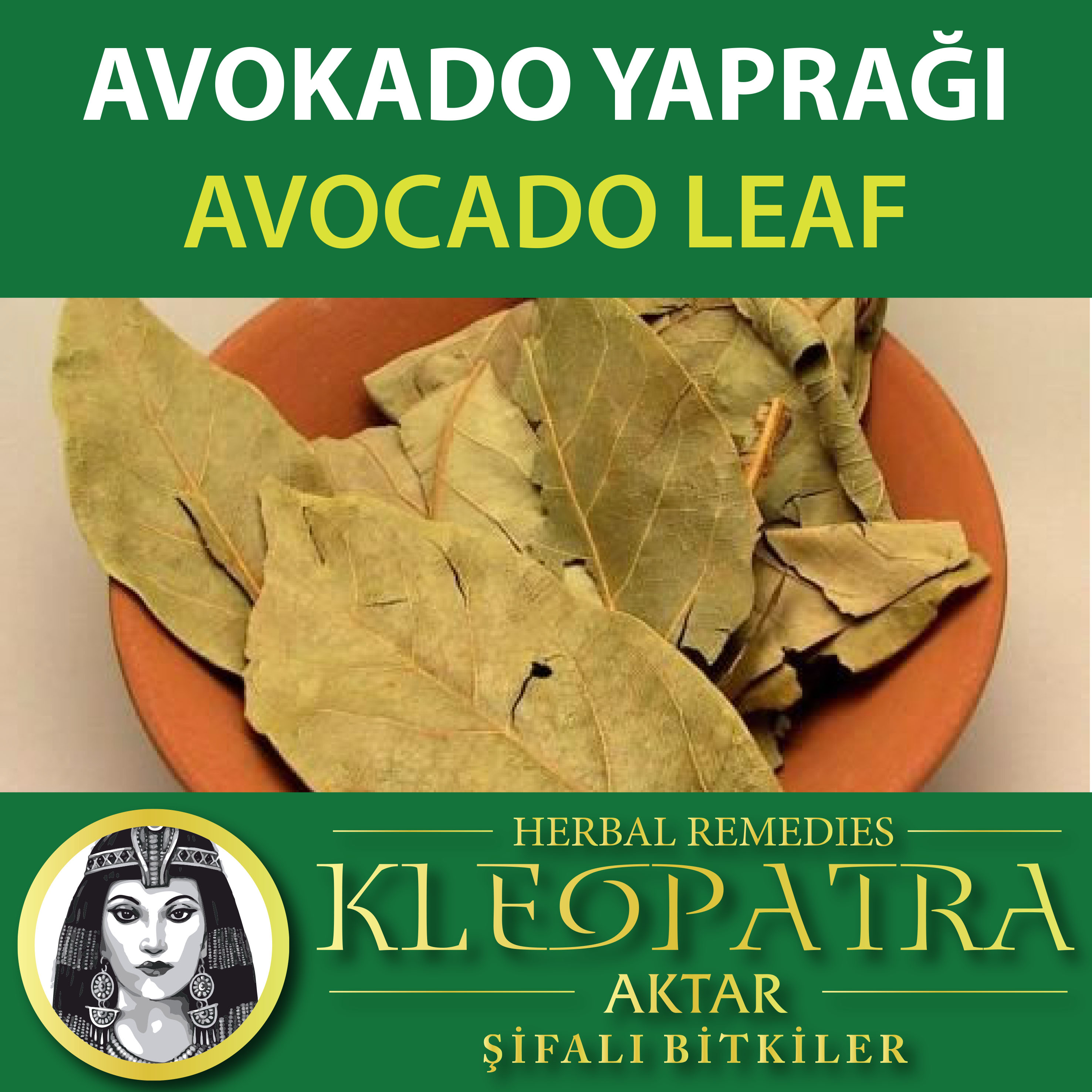 AVOKADO YAPRAĞI