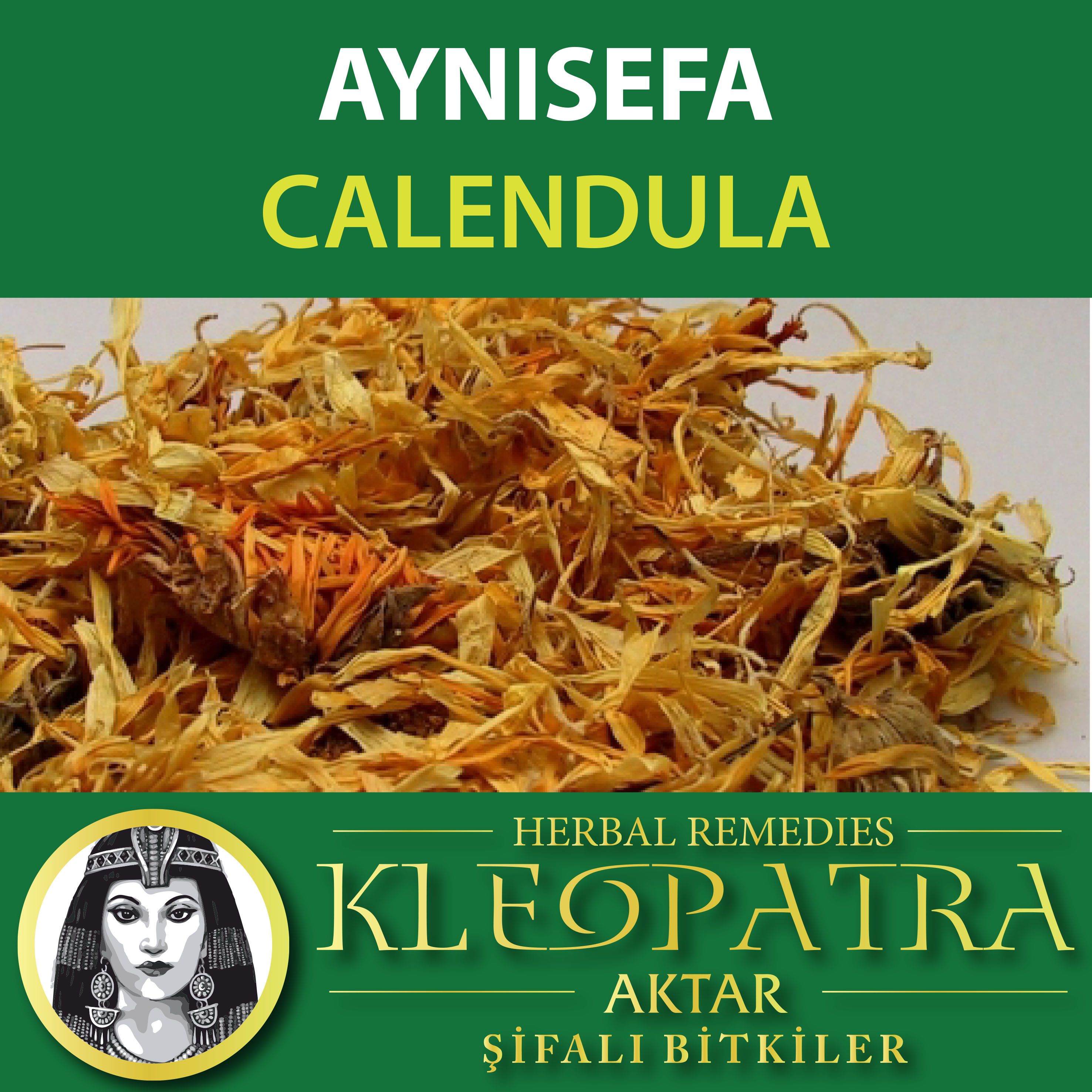 AYNISEFA