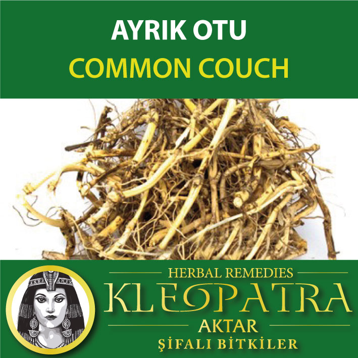 AYRIK OTU