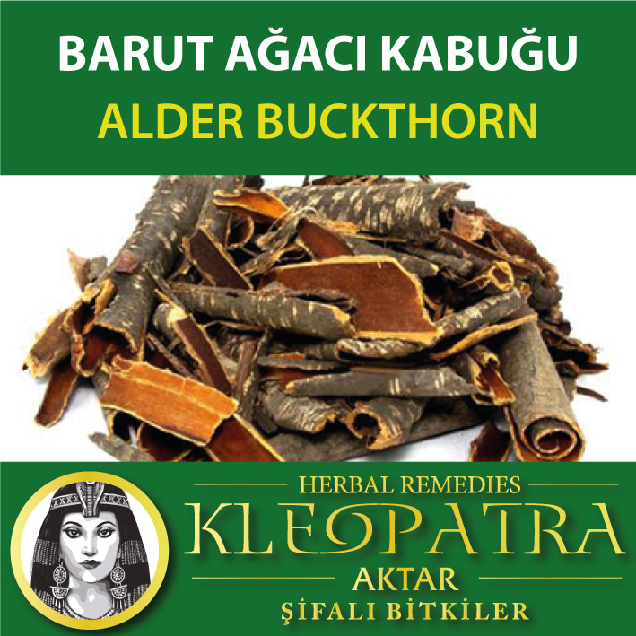 BARUT AĞACI KABUĞU