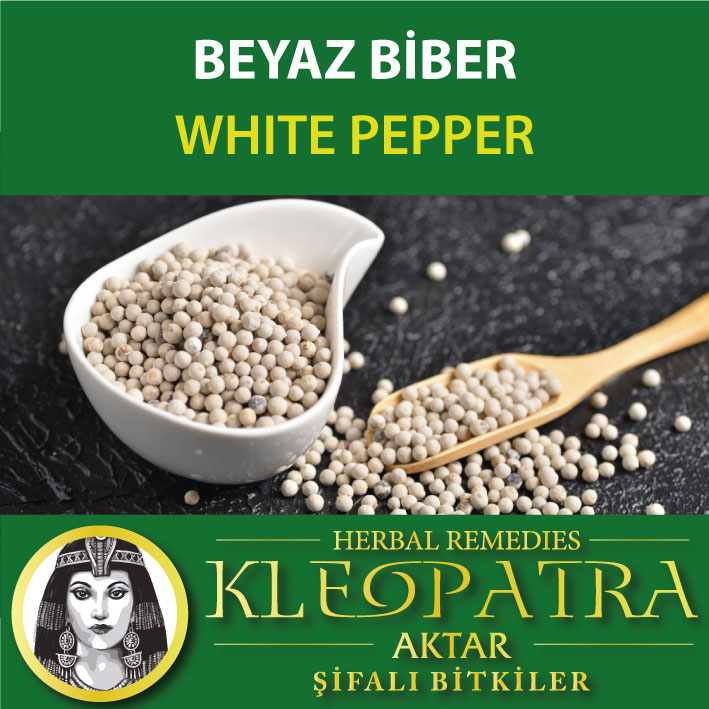 BEYAZ BİBER