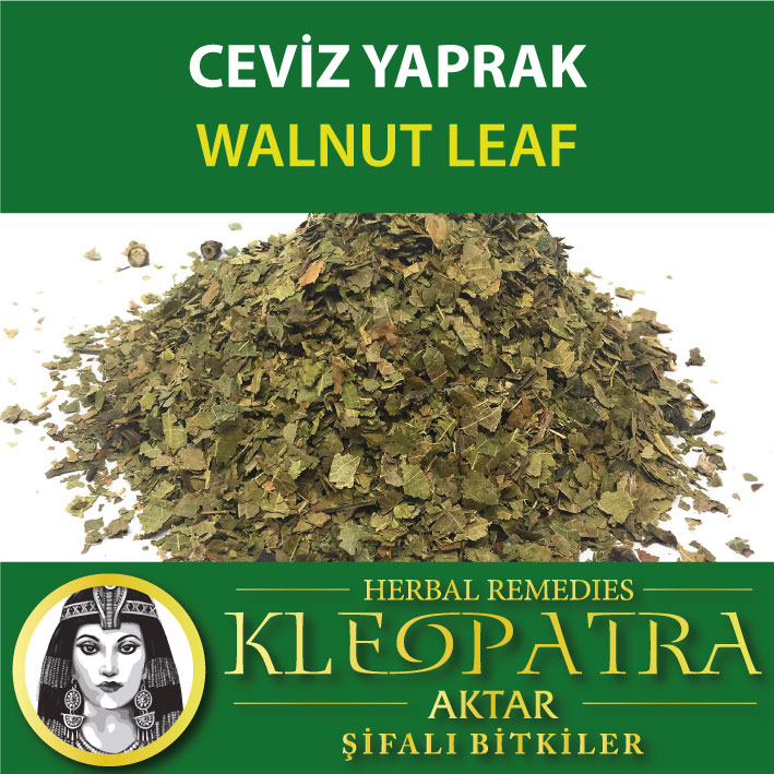 CEVİZ YAPRAK