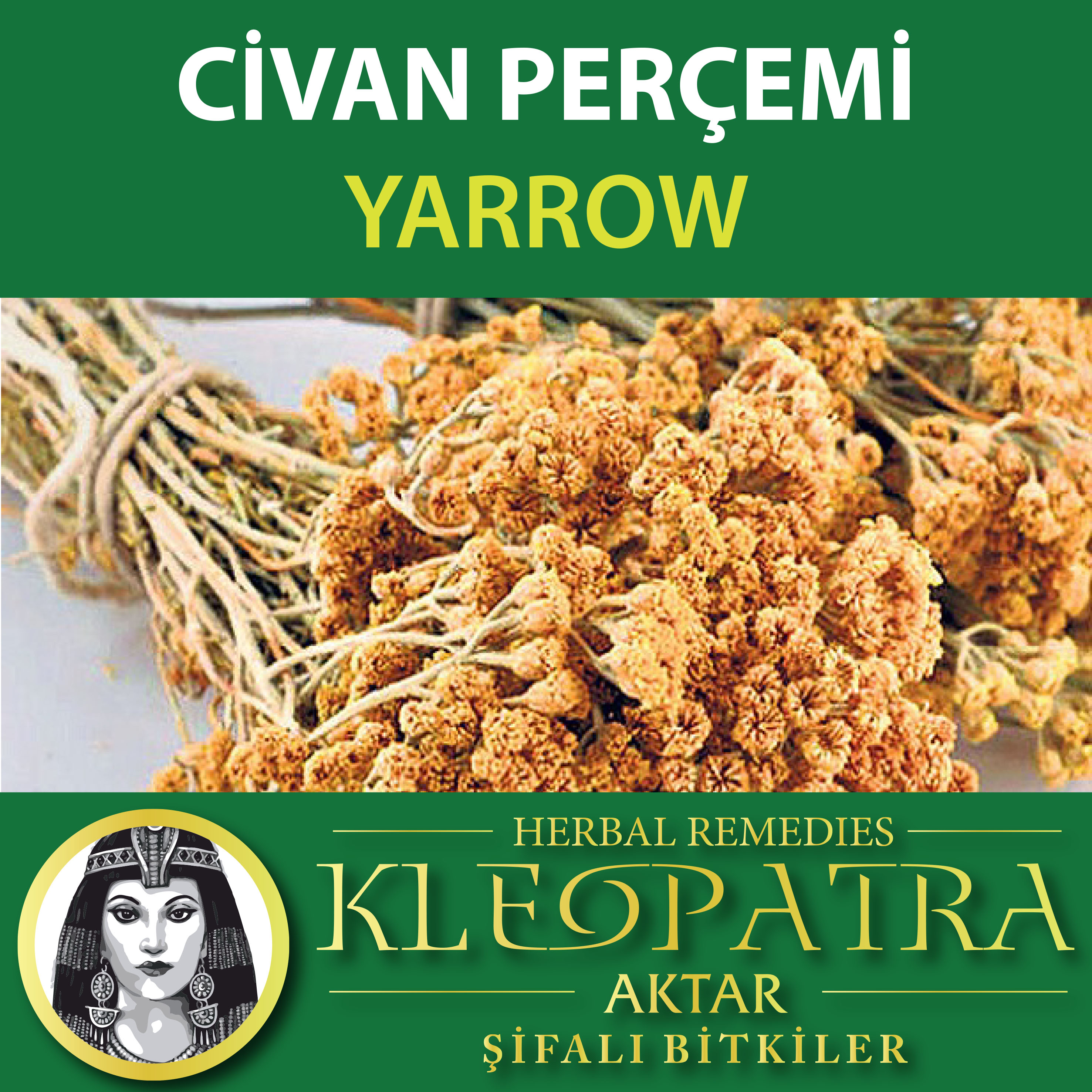 CİVAN PERÇEM