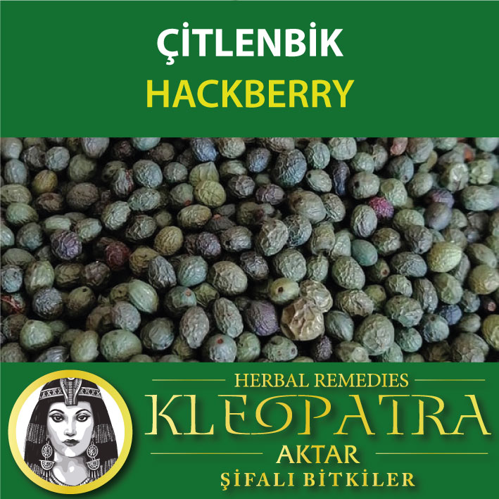 ÇİTLENBİK
