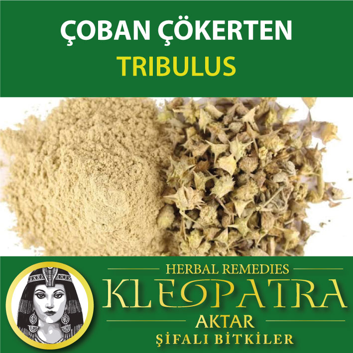 ÇOBAN ÇÖKERTEN