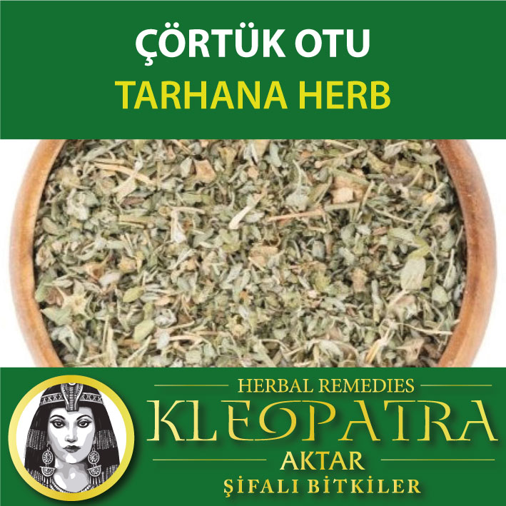 ÇÖRTÜK OTU