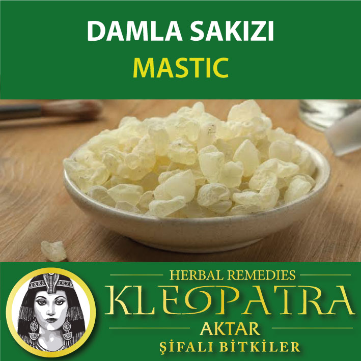 DAMLA SAKIZI
