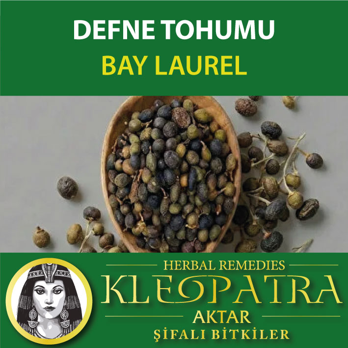 DEFNE TOHUMU