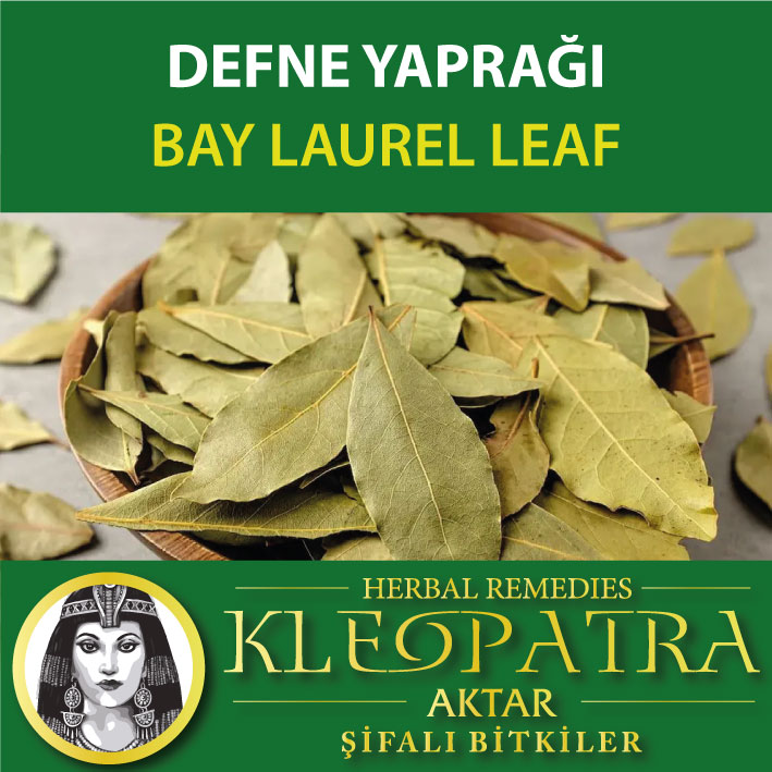 DEFNE YAPRAĞI