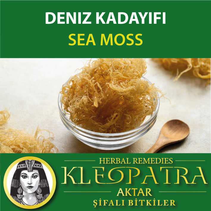 DENIZ KADAYIFI