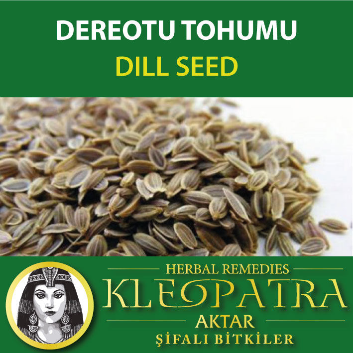 DEREOTU TOHUMU