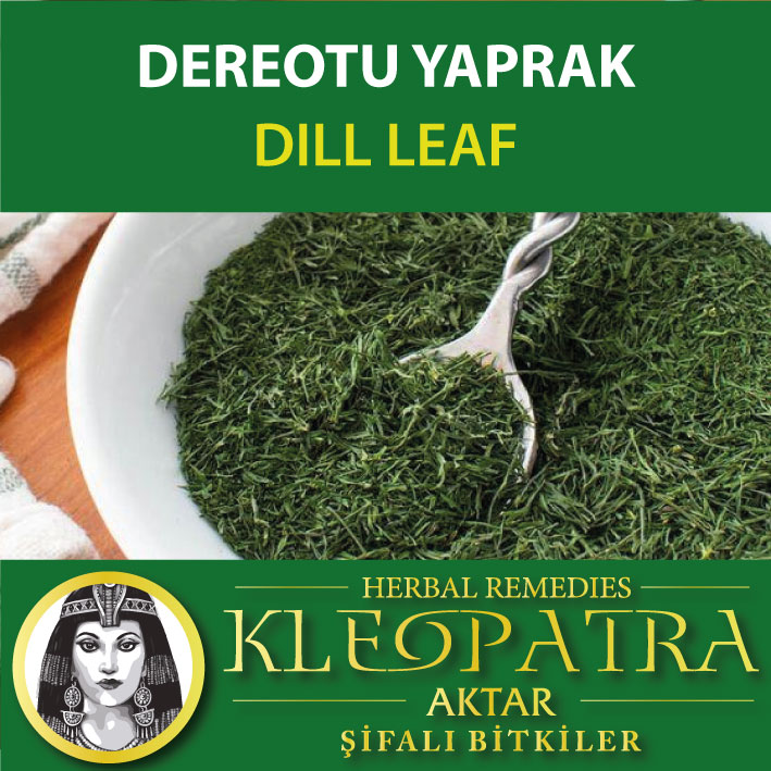 DEREOTU YAPRAK