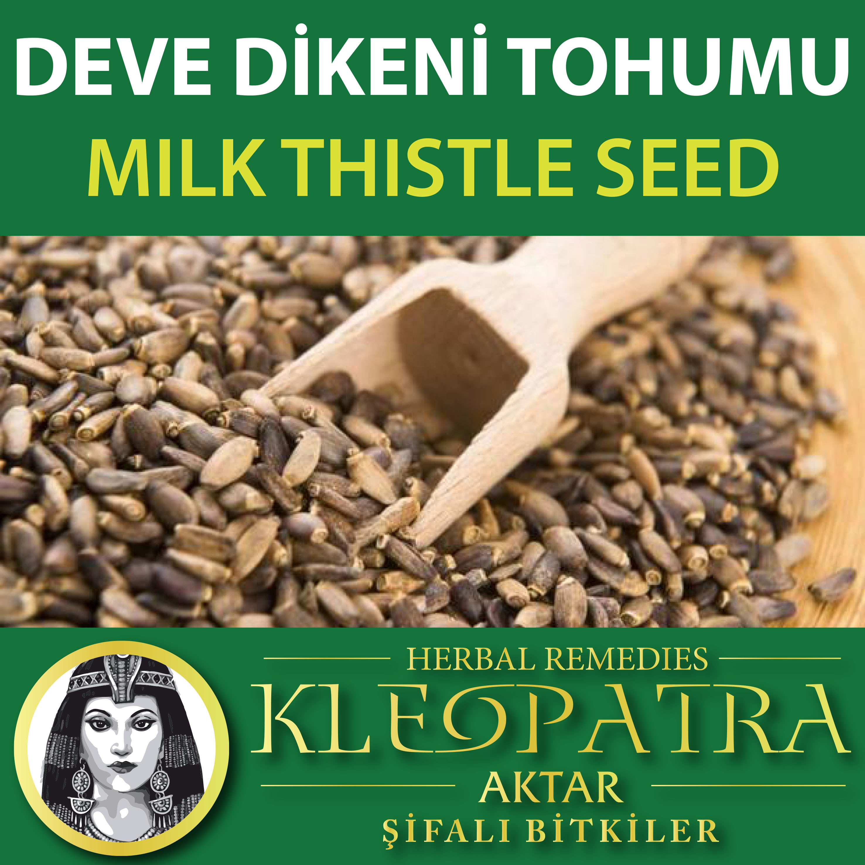 DEVE DİKENİ TOHUMU