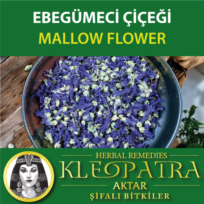 EBEGÜMECİ ÇİÇEĞİ
