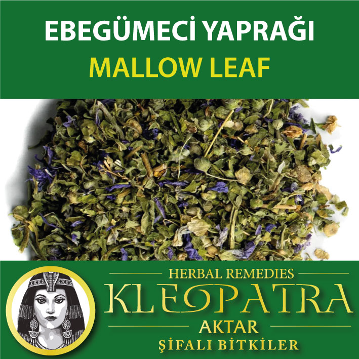 EBEGÜMECİ YAPRAĞI