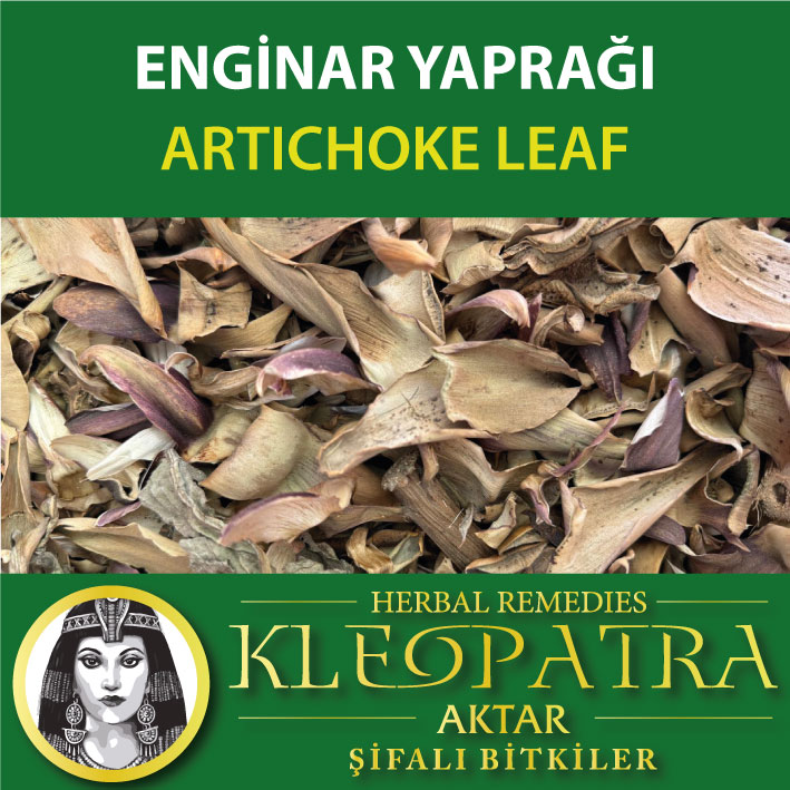 ENGİNAR YAPRAĞI
