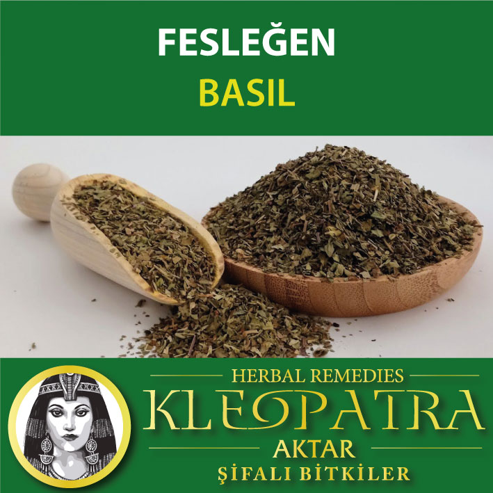 FESLEĞEN