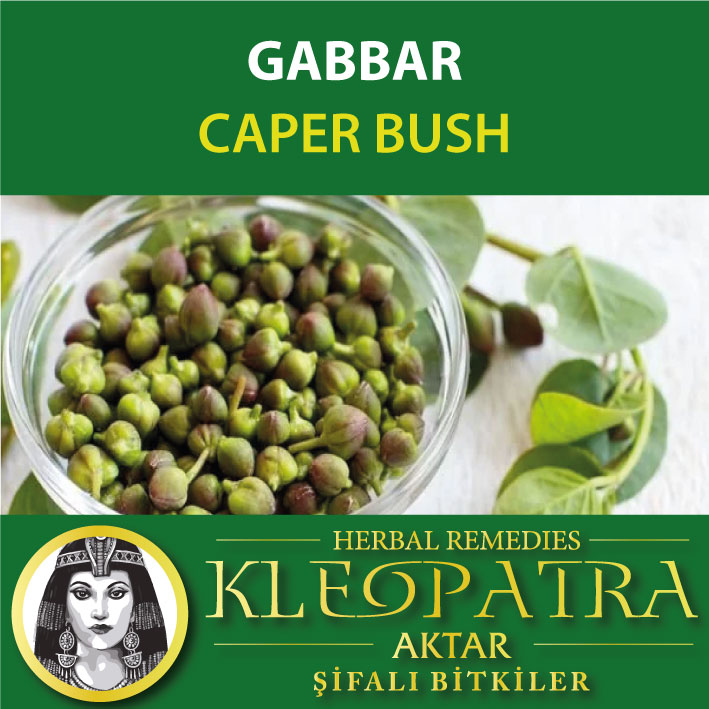 GABBAR