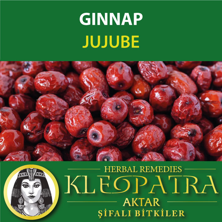 GINNAP