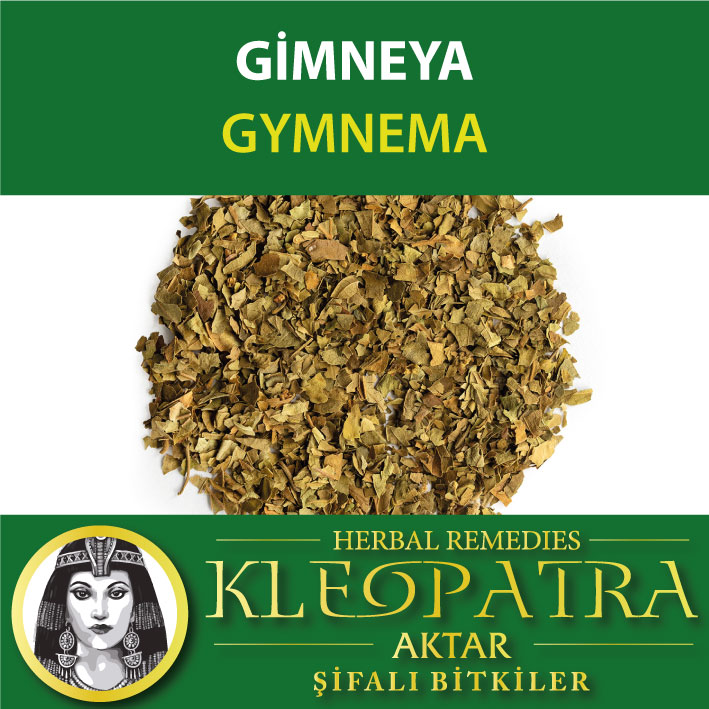 GİMNEYA