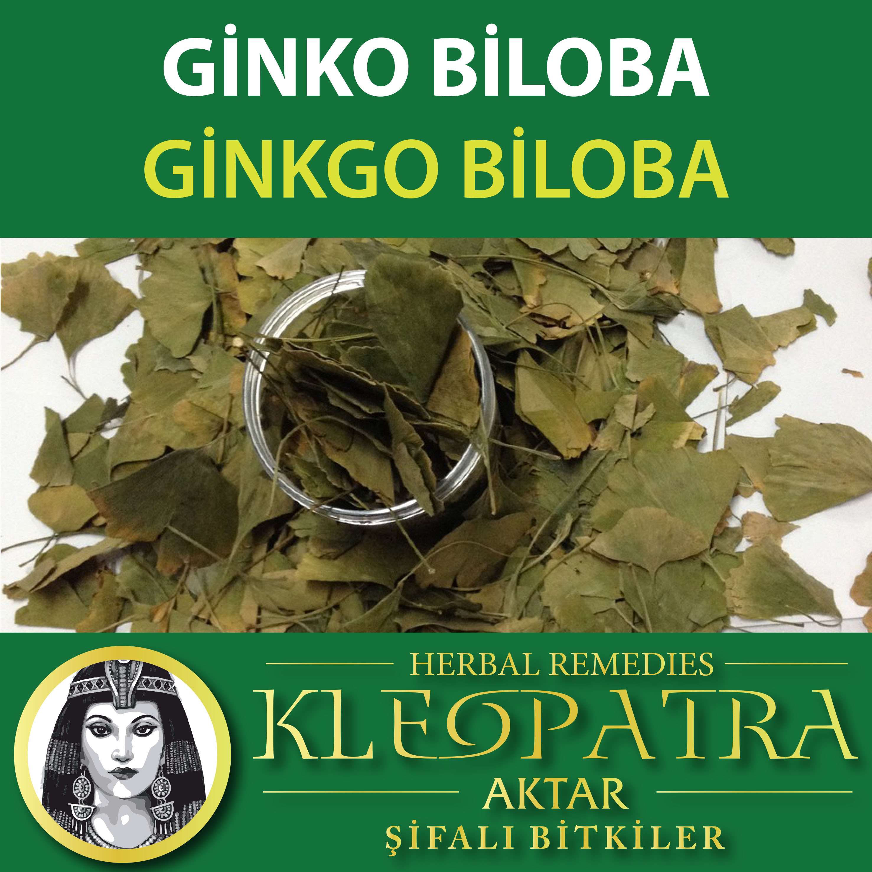 GİNKGO BİLOBA