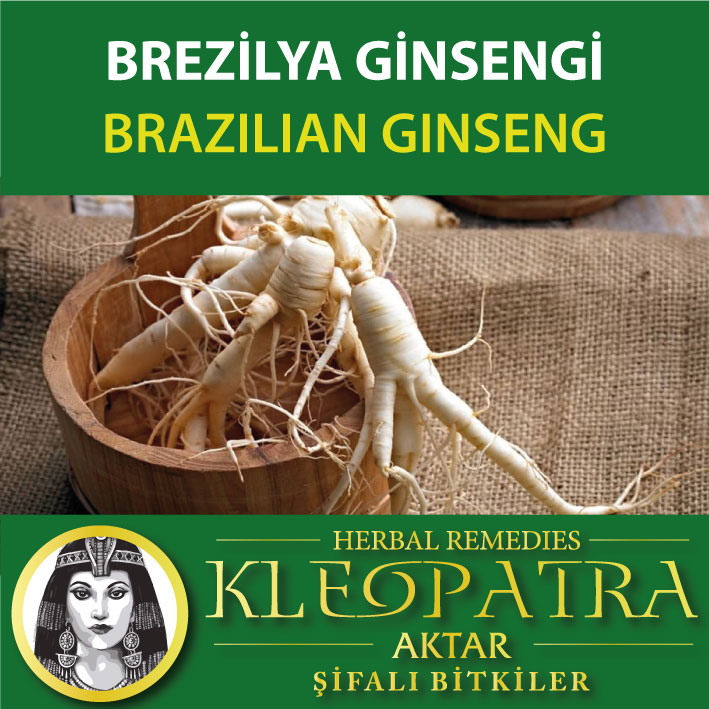 BREZİLYA GİNSENGİ