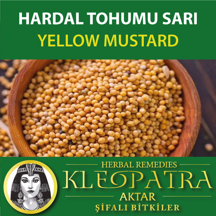 HARDAL TOHUMU SARI