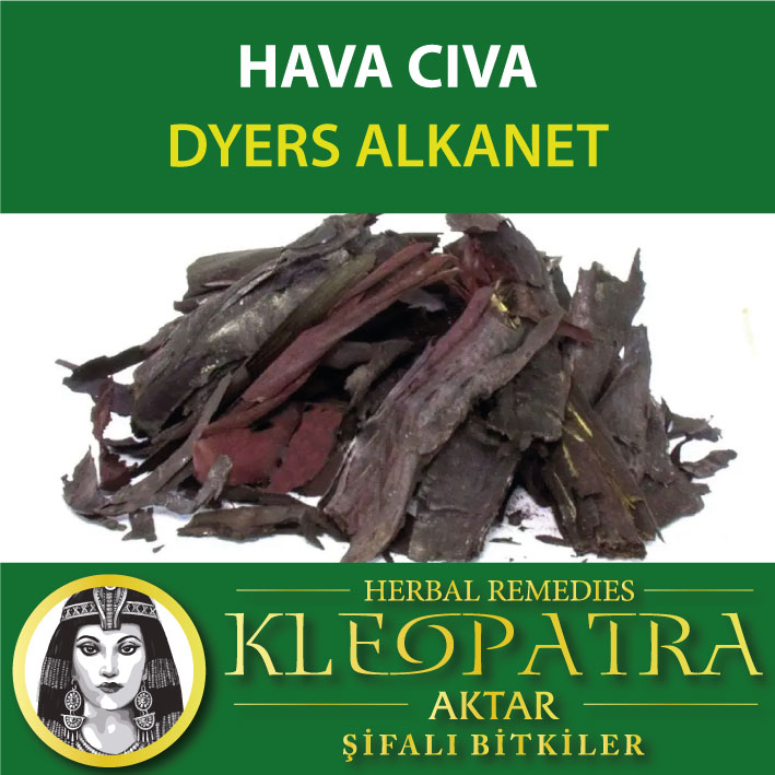 HAVA CIVA