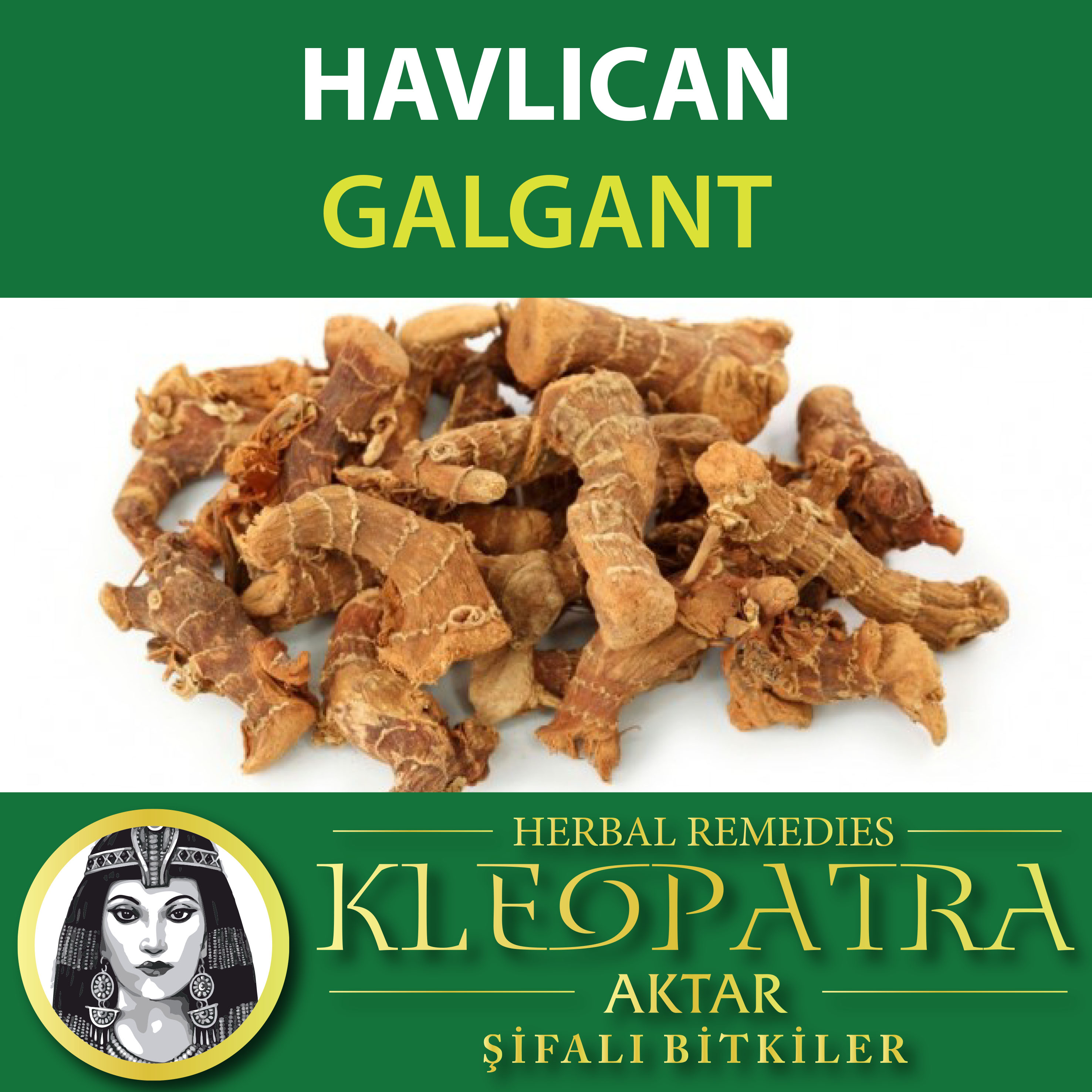 HAVLICAN