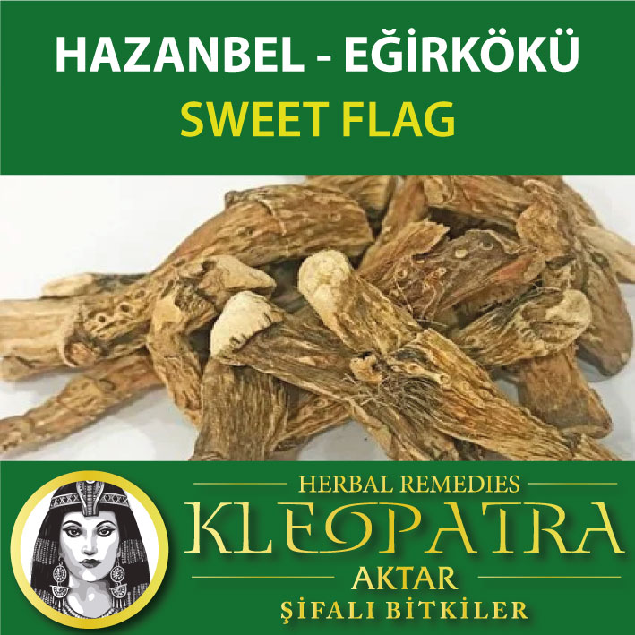 HAZANBEL - EĞİRKÖKÜ