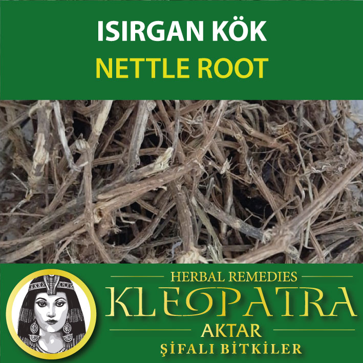 ISIRGAN KÖK