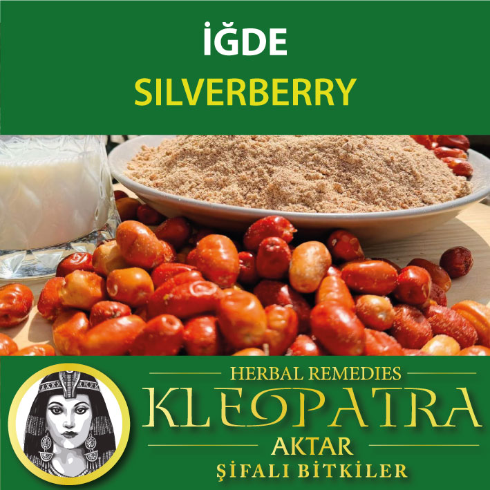 İĞDE