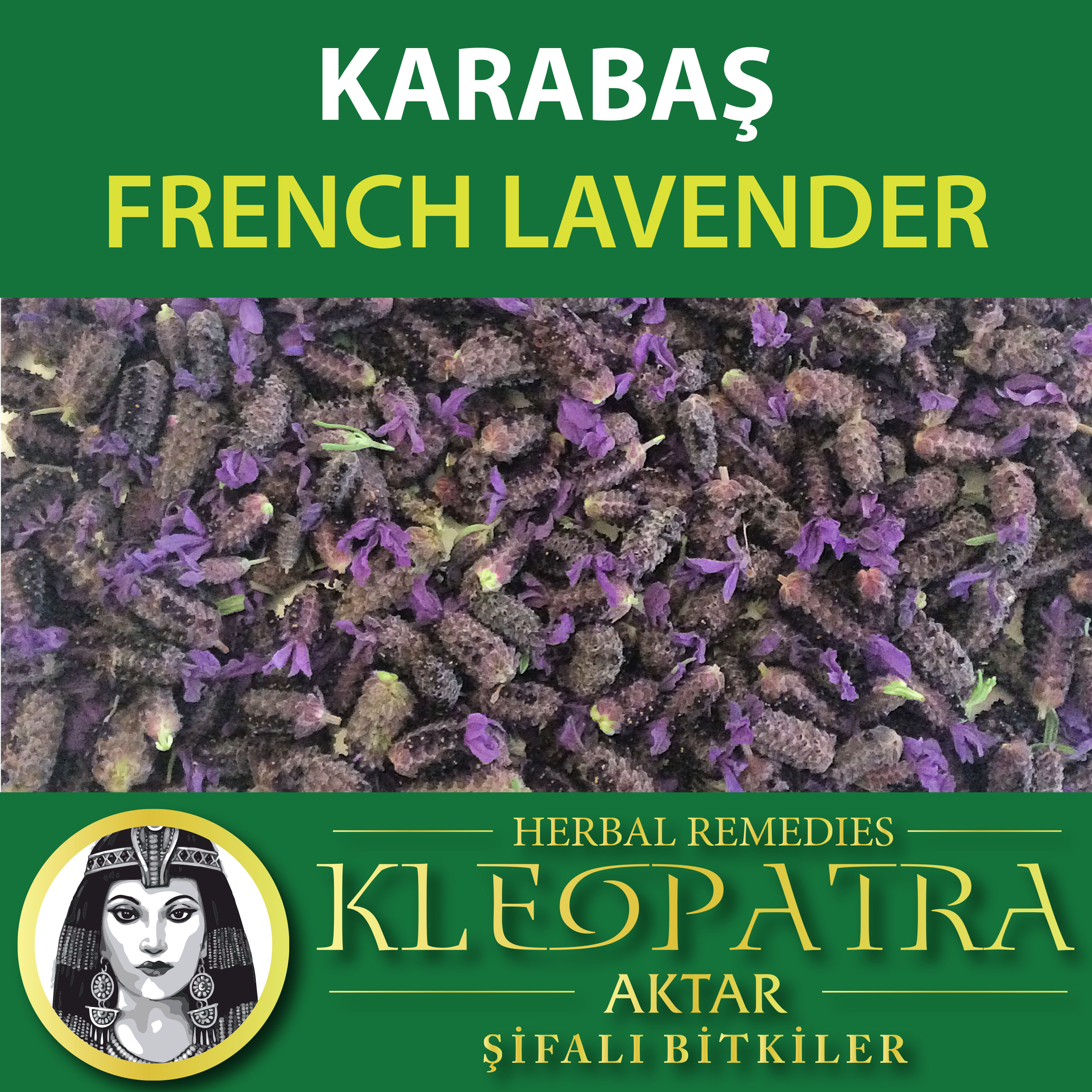 KARABAŞ OTU
