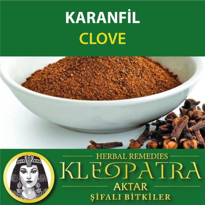 KARANFİL