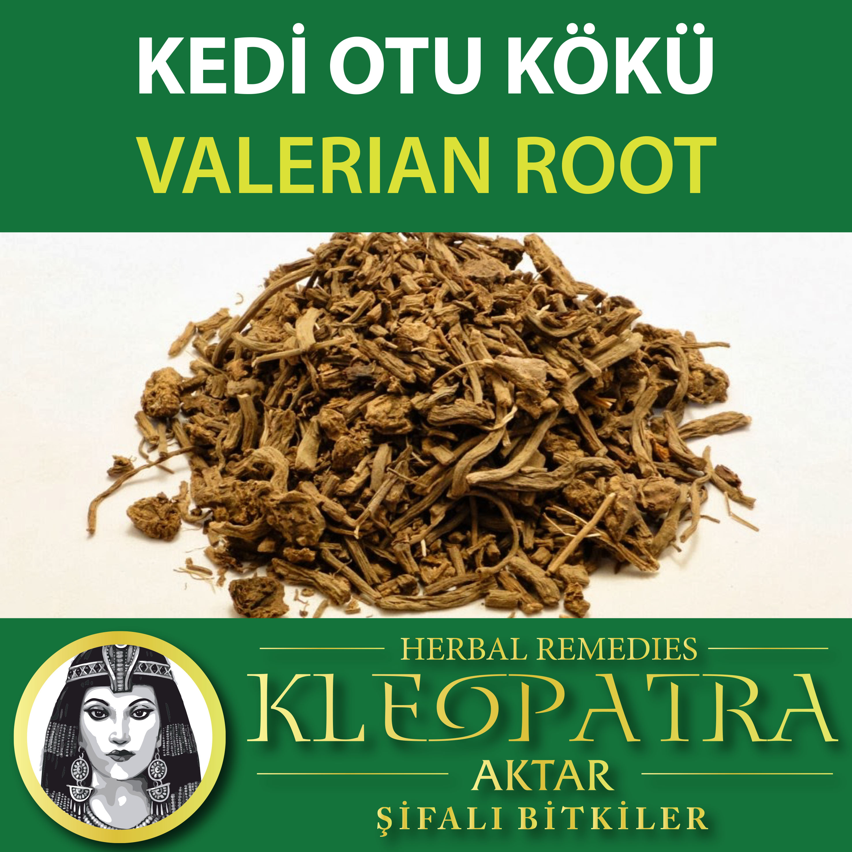 KEDİ OTU KÖKÜ