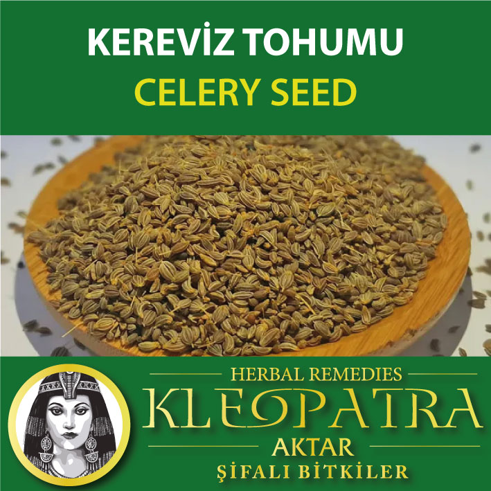 KEREVİZ TOHUMU