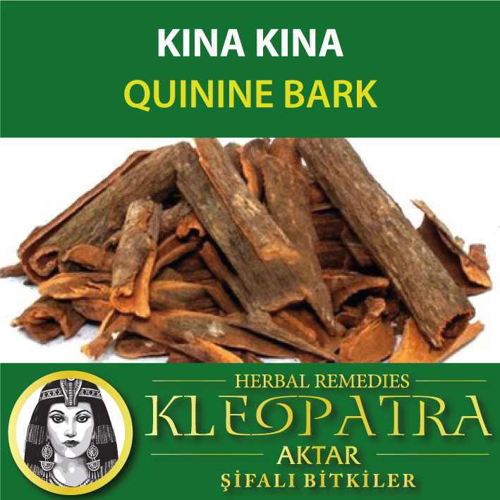 KINA KINA