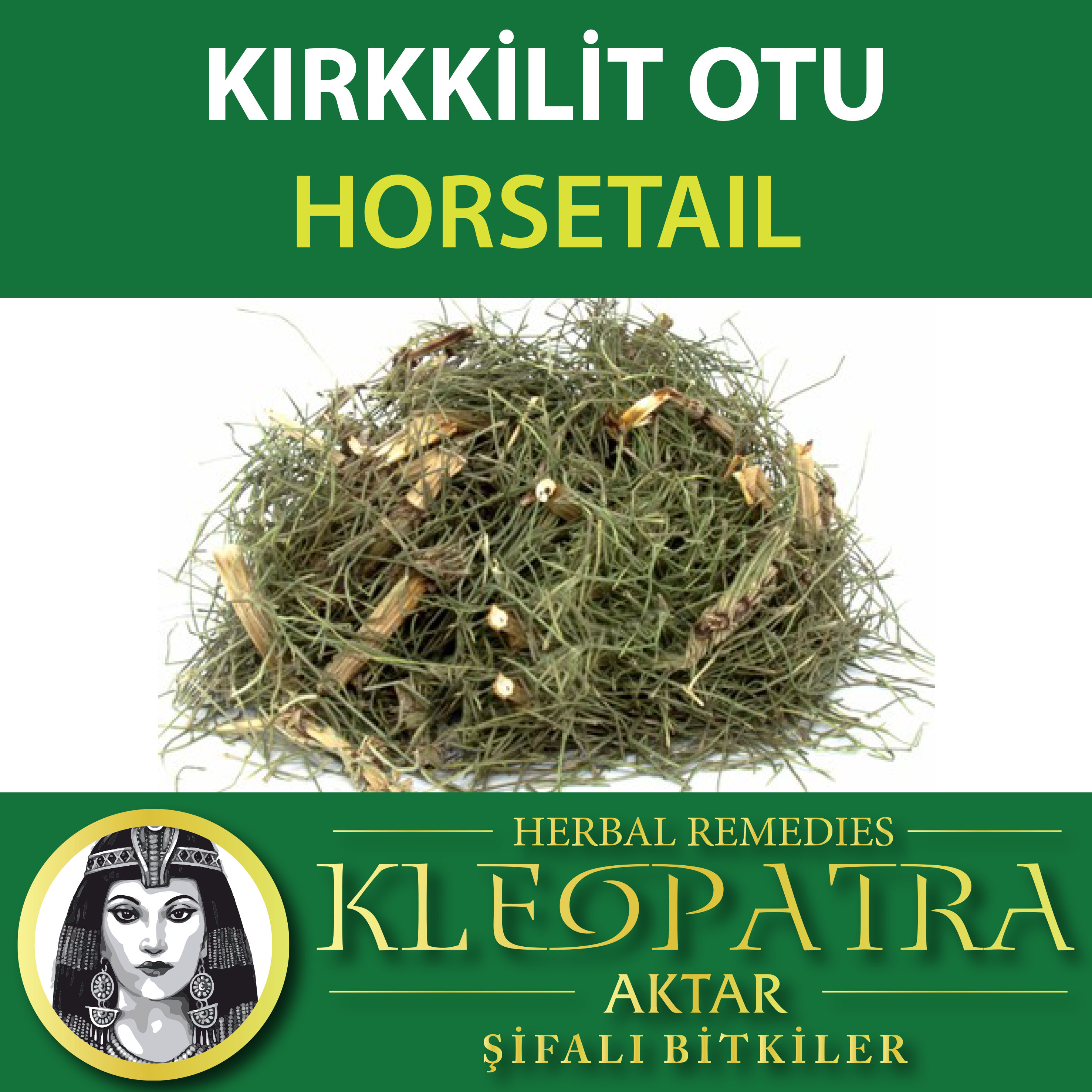 KIRKKİLİT OTU