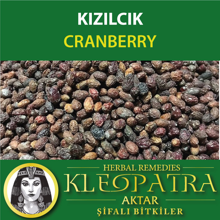 KIZILCIK
