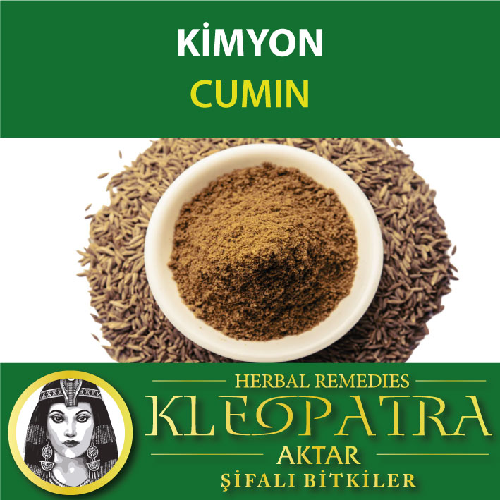 KİMYON