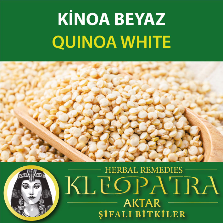 KİNOA BEYAZ