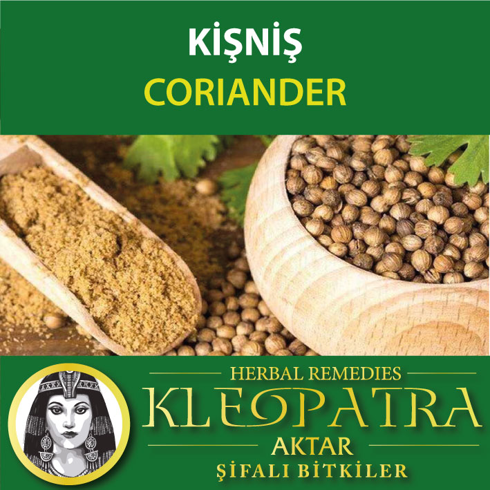 KİŞNİŞ