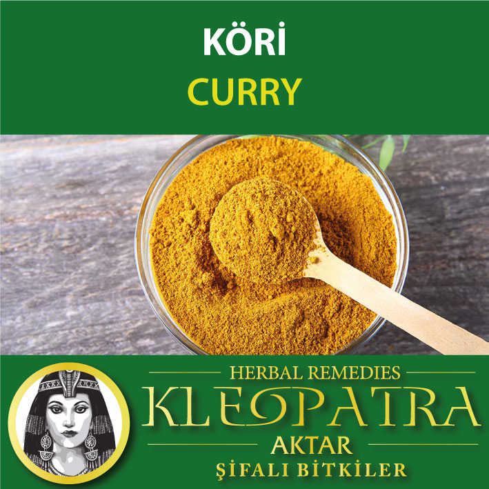 KÖRİ