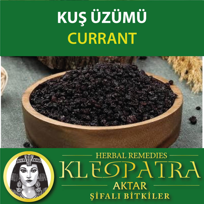 KUŞ ÜZÜMÜ